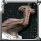 thecolonelcardaks
