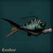 endorblue