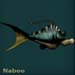 nabooblue